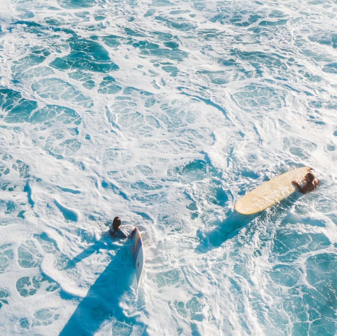 What Are Adaptogens? ⚡️ 🍄 🌞