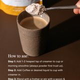 Coconut Creamer + Lions Mane & Reishi