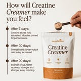 Creatine Coconut Cinnamon Creamer