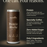 Cinnamon Bun + Mocha Protein Mixed Pack
